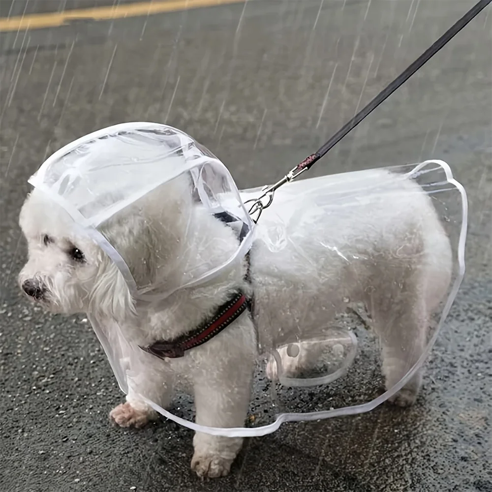 Capa de Chuva Transparente e Impermeável para Cães Pequenos e Médios, Ideal para Passeios em Dias Chuvosos com Cães como Teddy e Bichon Frise