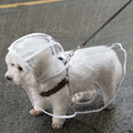 Capa de Chuva Transparente e Impermeável para Cães Pequenos e Médios, Ideal para Passeios em Dias Chuvosos com Cães como Teddy e Bichon Frise
