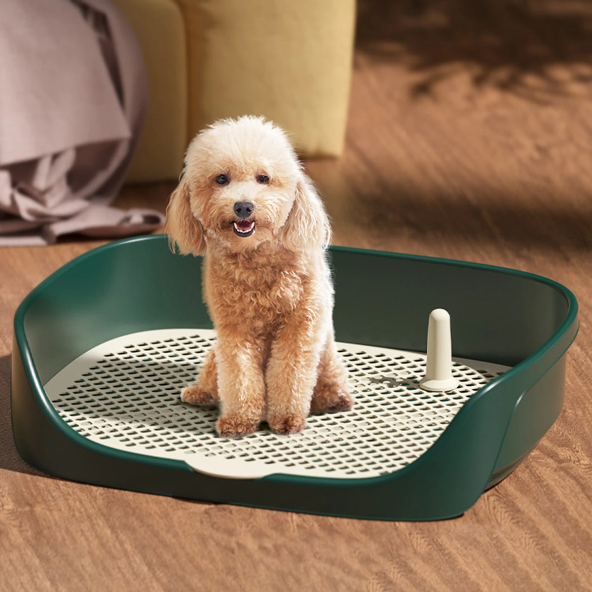 Cão de estimação toalete para gato portátil interior ao ar livre com proteção parede treinamento almofada titular lavatório bacia caixa maca treinador corne