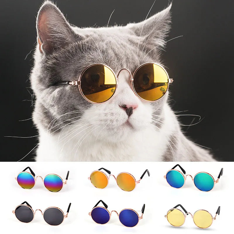 Adorável Eye-Wear óculos para cão pequeno e gato, acessórios para animais, fotos, cão pequeno, 1pc
