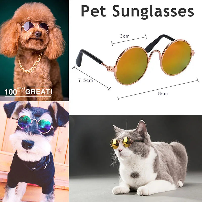 Adorável Eye-Wear óculos para cão pequeno e gato, acessórios para animais, fotos, cão pequeno, 1pc