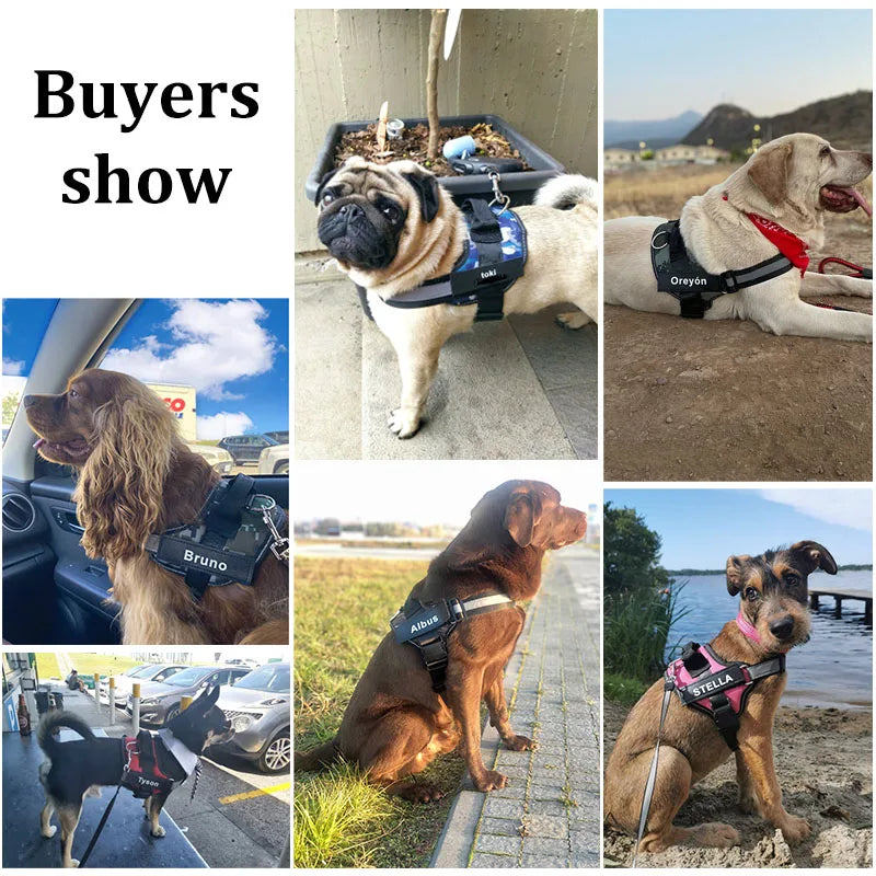Coleira Peitoral Personalizada para Cães, Sem Puxões, Refletiva e Respirável, Colete para Cães Pequenos e Grandes, Acessórios para Passeio e Treinamento ao Ar Livre