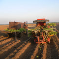Tomatoes Row Onion Vegetable Seedling Transplant High Efficiency Robot Transplanter Seedling