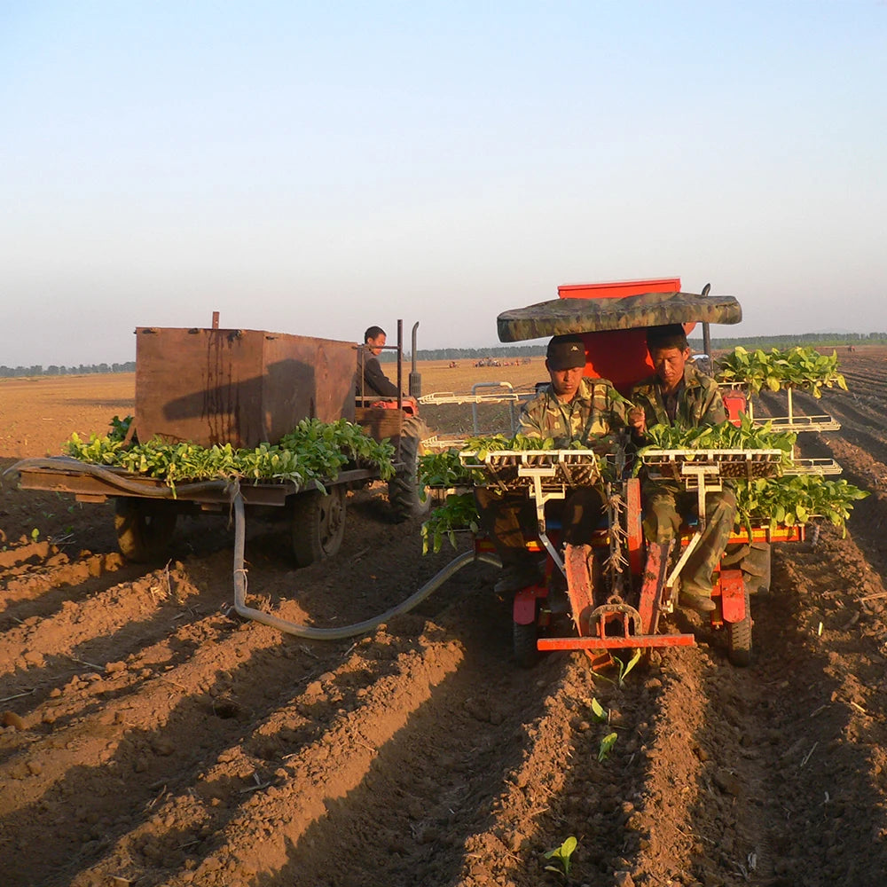 Tomatoes Row Onion Vegetable Seedling Transplant High Efficiency Robot Transplanter Seedling