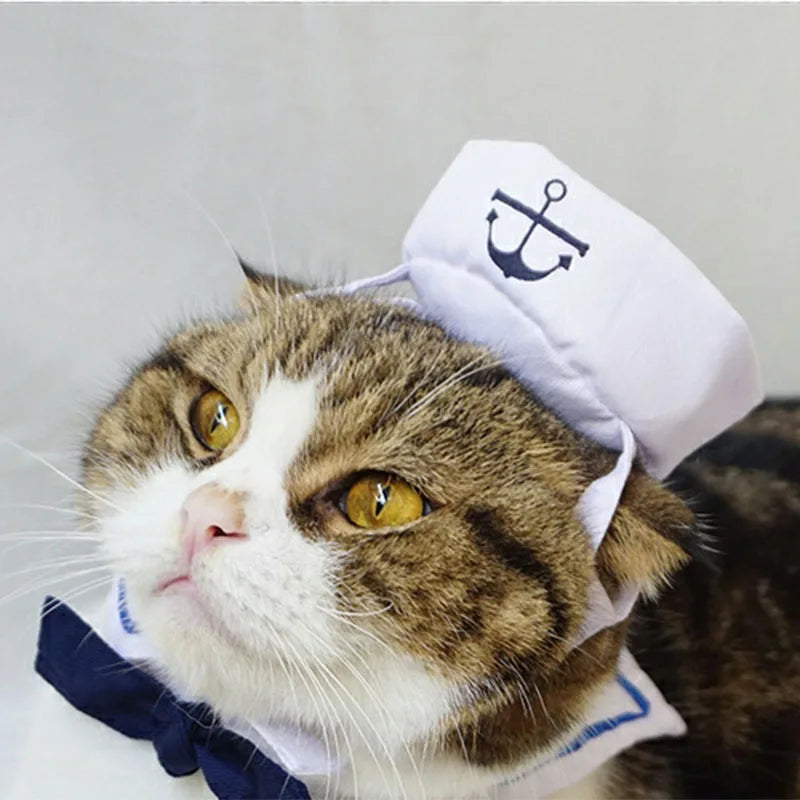 Engraçado trajes de gato de estimação pequeno cão coelho vestuário roupas para halloween cosplay marinha marinheiro roupas jaqueta manto acessórios para cães