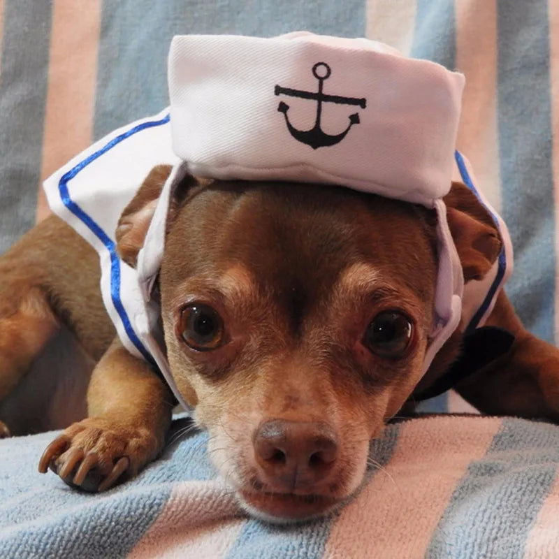 Engraçado trajes de gato de estimação pequeno cão coelho vestuário roupas para halloween cosplay marinha marinheiro roupas jaqueta manto acessórios para cães