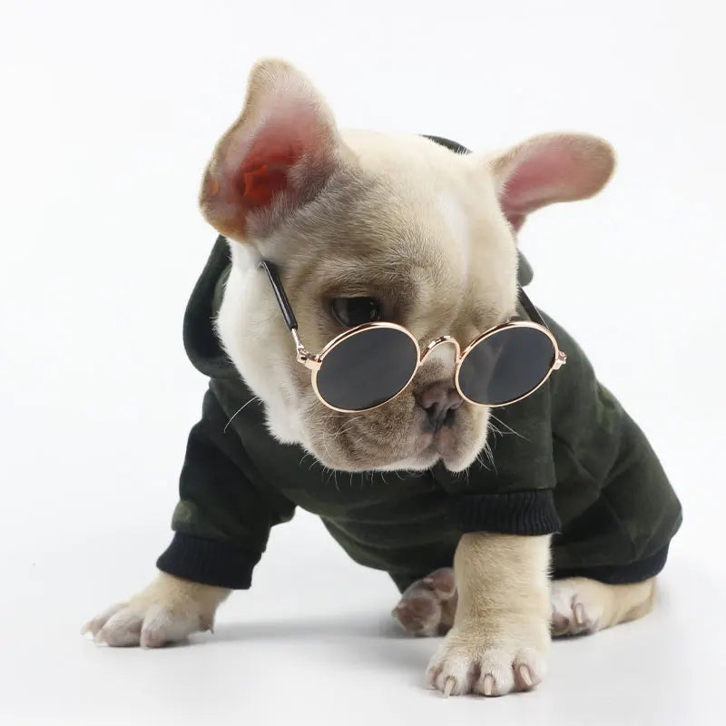 Adorável Eye-Wear óculos para cão pequeno e gato, acessórios para animais, fotos, cão pequeno, 1pc