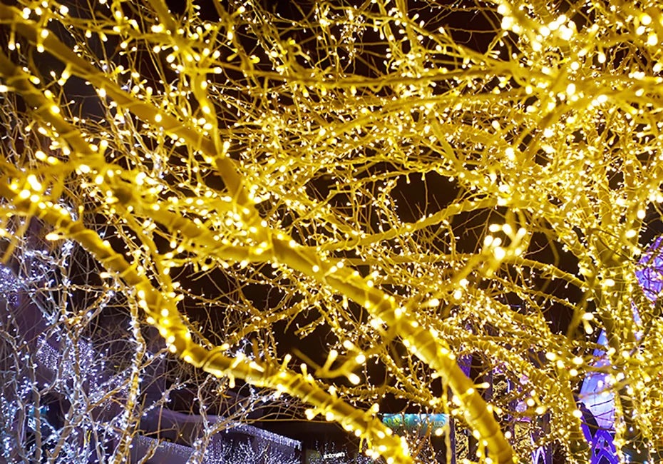 Luzes de Natal LED 24V-31V 100M 50M 30M 20M 10M à Prova d'Água, Guirlanda de Luzes de Fada para Árvore, Iluminação de Natal ao Ar Livre