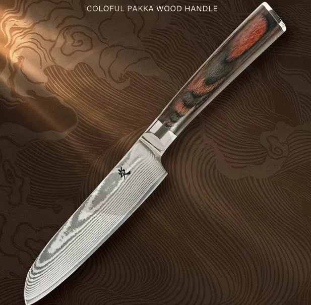 High Quality Kitchen Knife Set 67 Layers Damascus Steel VG10 Japanese Chef Knife Colorful Pakka Wood Handle Knives
