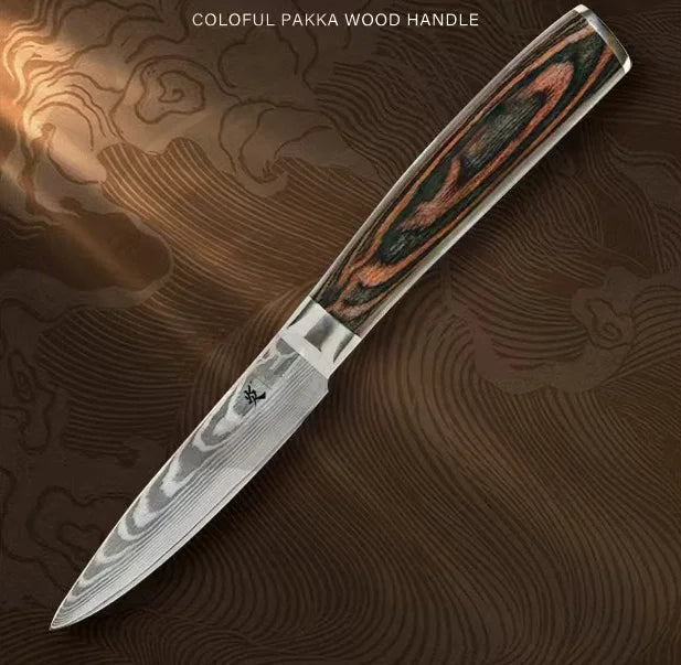 High Quality Kitchen Knife Set 67 Layers Damascus Steel VG10 Japanese Chef Knife Colorful Pakka Wood Handle Knives