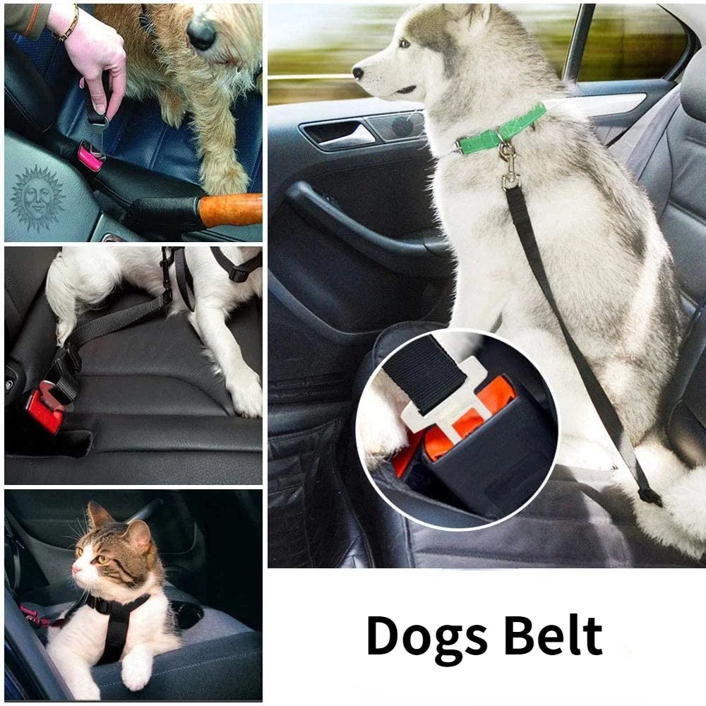 Cinto de segurança para carro de cachorro, protetor de segurança para viagem, acessórios para animais de estimação, coleira separatista, arnês de carro sólido