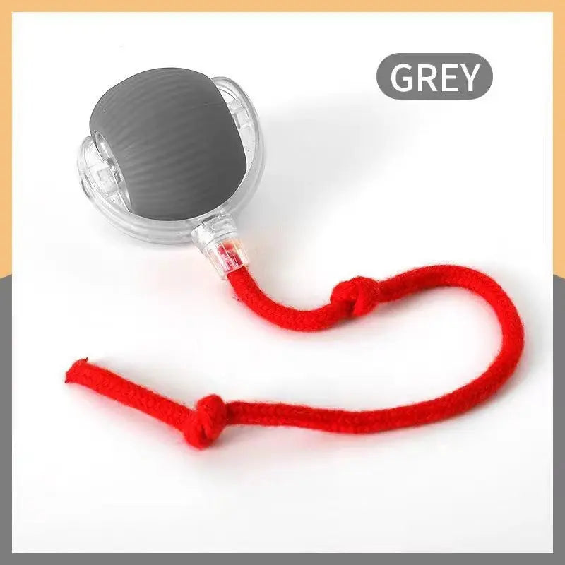 Cross-Border Cat Teaser Ball Pet Toy Ball Dog and Cat Self-Entertainment Boredom-Relief Gadget Pet Toy Cat Toy Pet Supplies Kasa & Pet