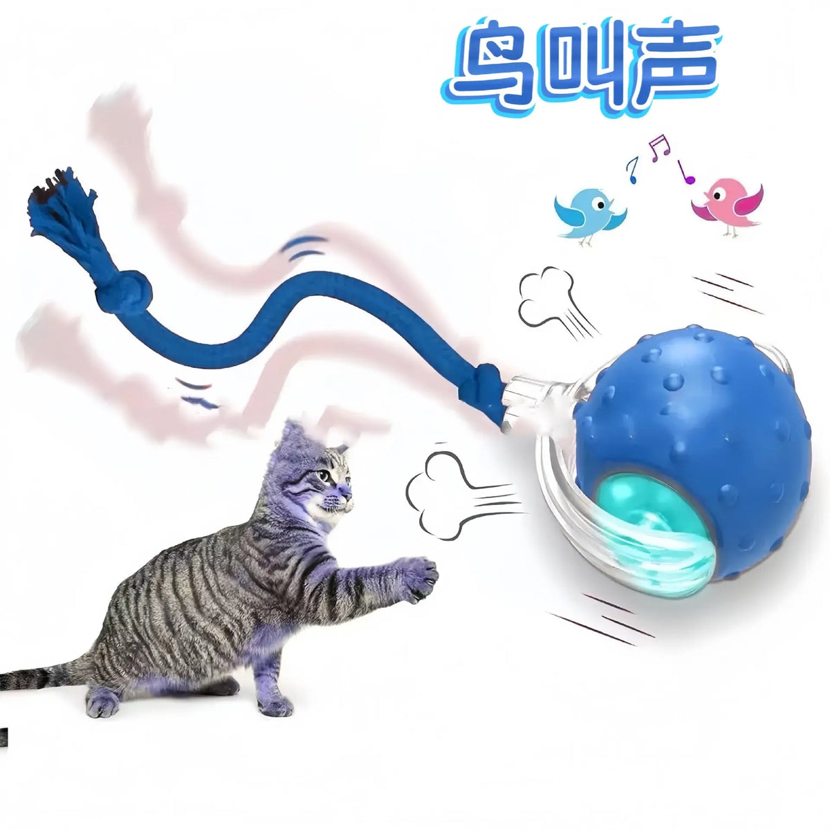 Cross-Border Cat Teaser Ball Pet Toy Ball Dog and Cat Self-Entertainment Boredom-Relief Gadget Pet Toy Cat Toy Pet Supplies Kasa & Pet