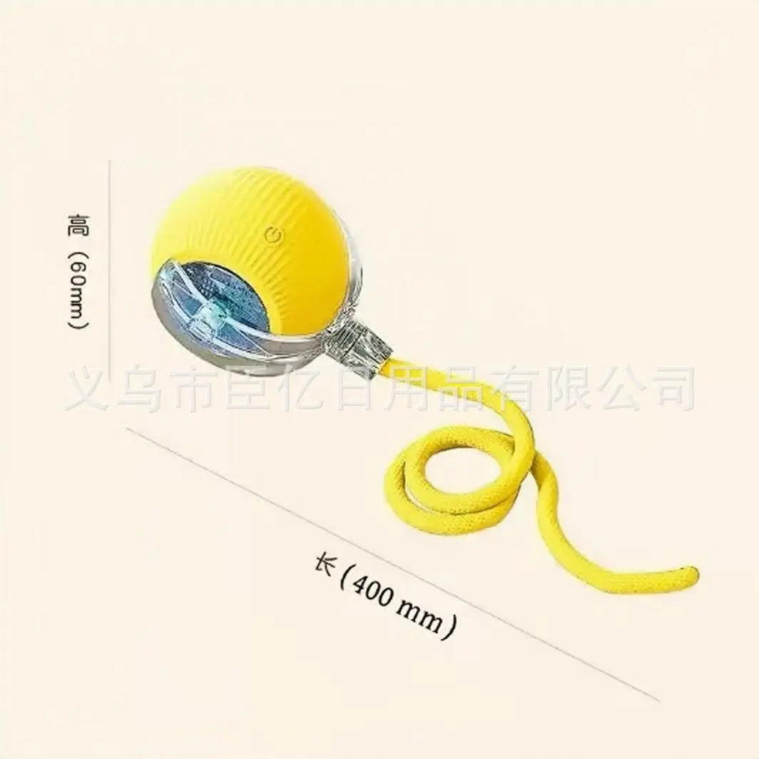 Cross-Border Cat Teaser Ball Pet Toy Ball Dog and Cat Self-Entertainment Boredom-Relief Gadget Pet Toy Cat Toy Pet Supplies Kasa & Pet