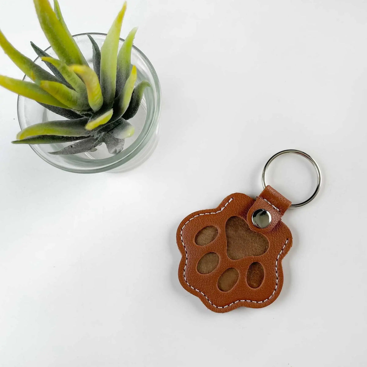 New Pet Hair Storage Bag, Dog Paw Keychain Pendant, Cat and Dog Hair Storage Keychain Kasa & Pet