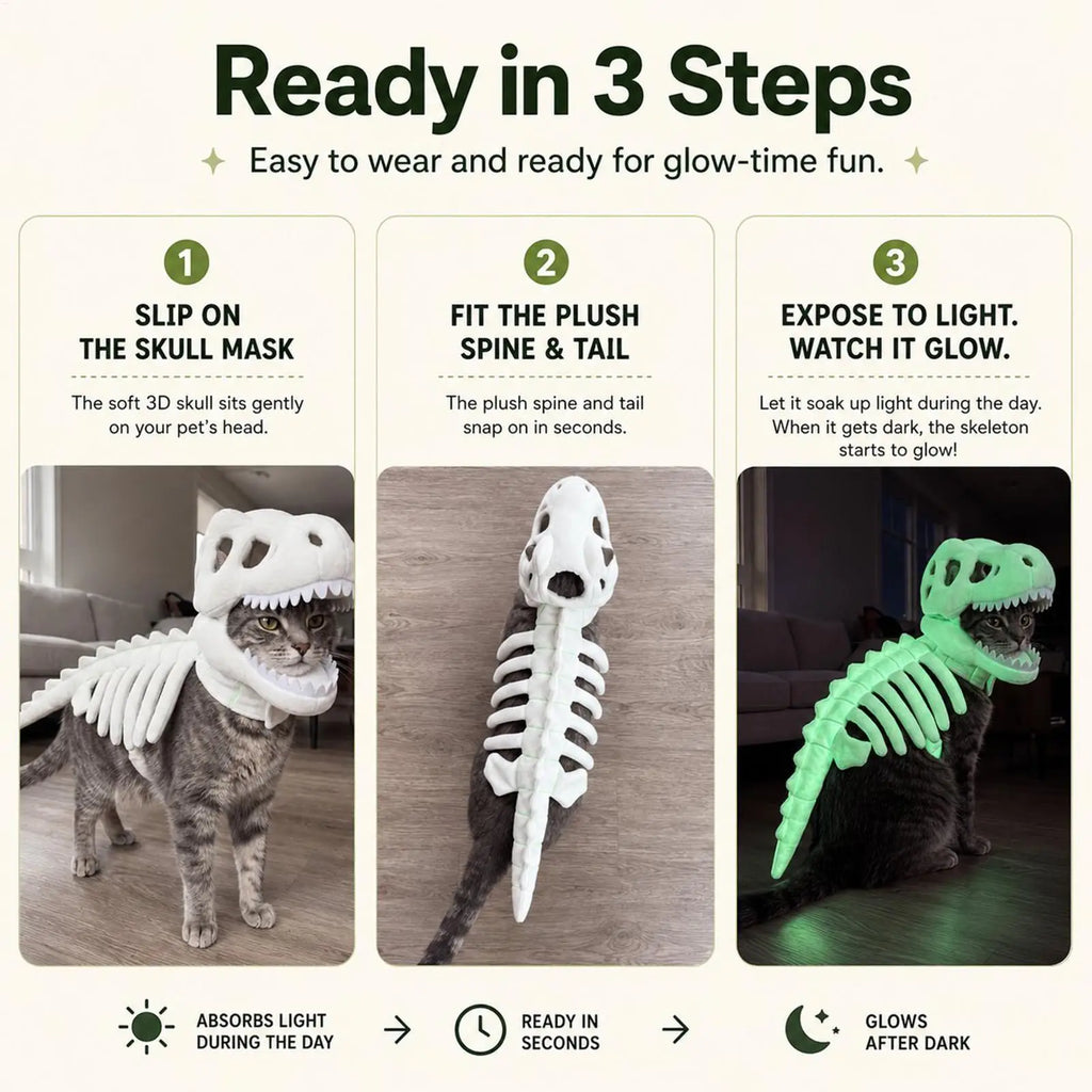 Fantasia de Esqueleto de Dinossauro para Gatos, Roupas de Fantasia para Animais de Estimação, Fantasia de Dinossauro para Festa de Halloween