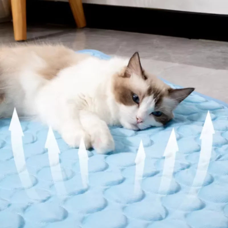 Tapete Refrescante para Cães, Cama Fria de Verão para Pets, Extra Grande para Cães Pequenos e Grandes, Acessórios para Pets