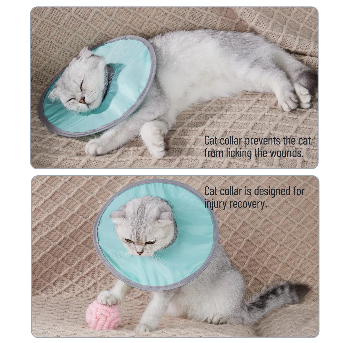 Coleira protetora para gato de estimação, coleira cônica de recuperação de pescoço para anti-mordida, reutilizável, círculo médico de saúde para cães e gatos, suprimentos para animais de estimação