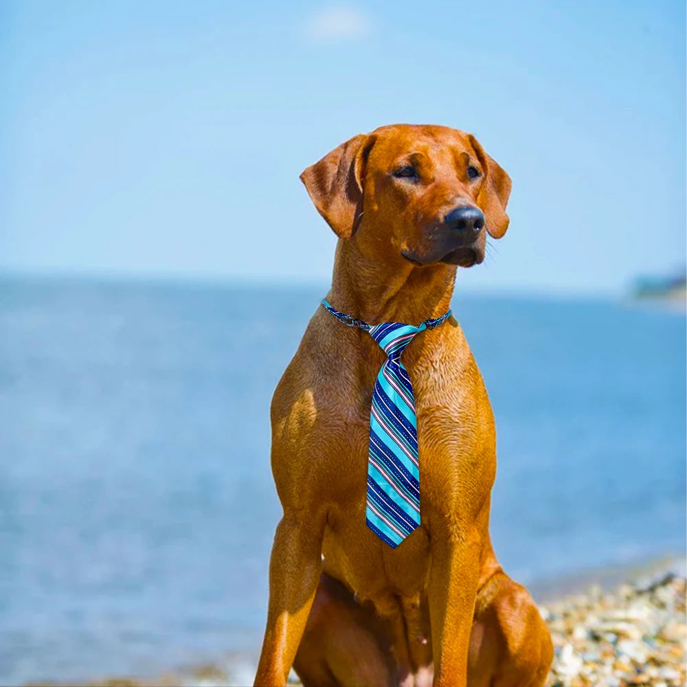 30/50 pçs cão aliciamento animais de estimação cães gravatas pequeno cão bowties acessórios de preparação para cães grandes laços suprimentos para animais de estimação