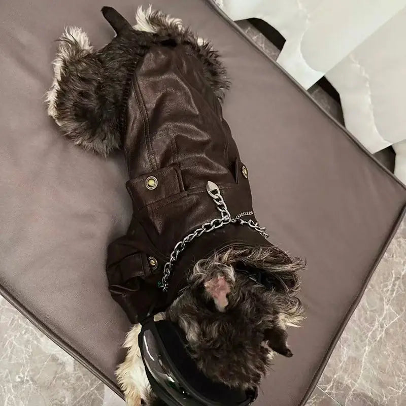 Roupa para Cães e Gatos: Jaqueta Motoqueiro de Couro PU Estilo Rocker para Cães, Preto e Marrom, Tamanhos S-XXL
