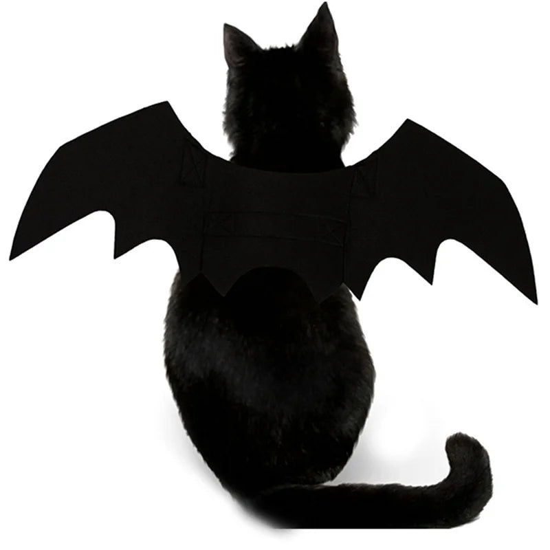 Fantasia de Halloween 2026 para Pets: Asas de Morcego Pretas com Arnês para Gatos e Cães – Perfeita para Festas e Cosplay de Halloween – Acessório Essencial para Pets