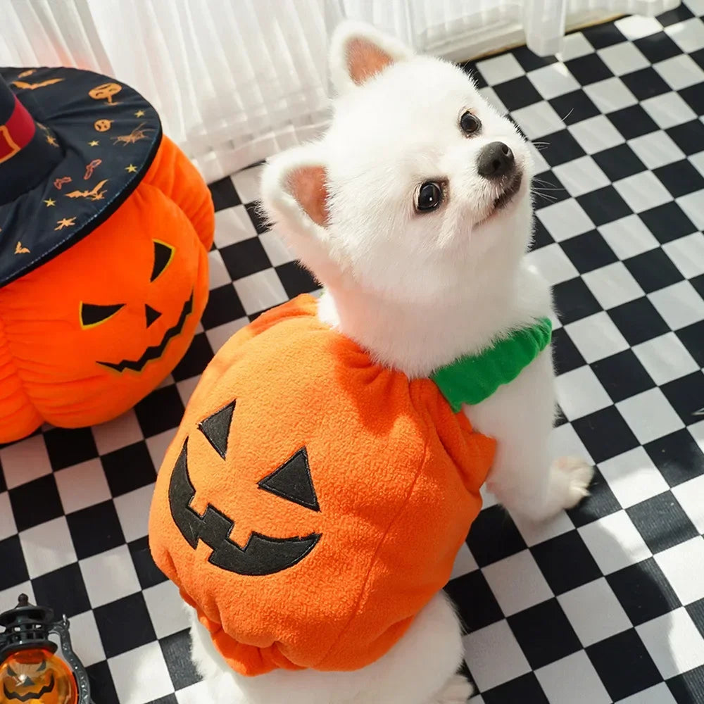 Fantasias de Halloween para Cães, Traje Engraçado de Abóbora Lanterna, Roupa de Transformação para Cães e Gatos de Duas Patas, Chapéu de Abóbora Fofo, Jaqueta para Cães