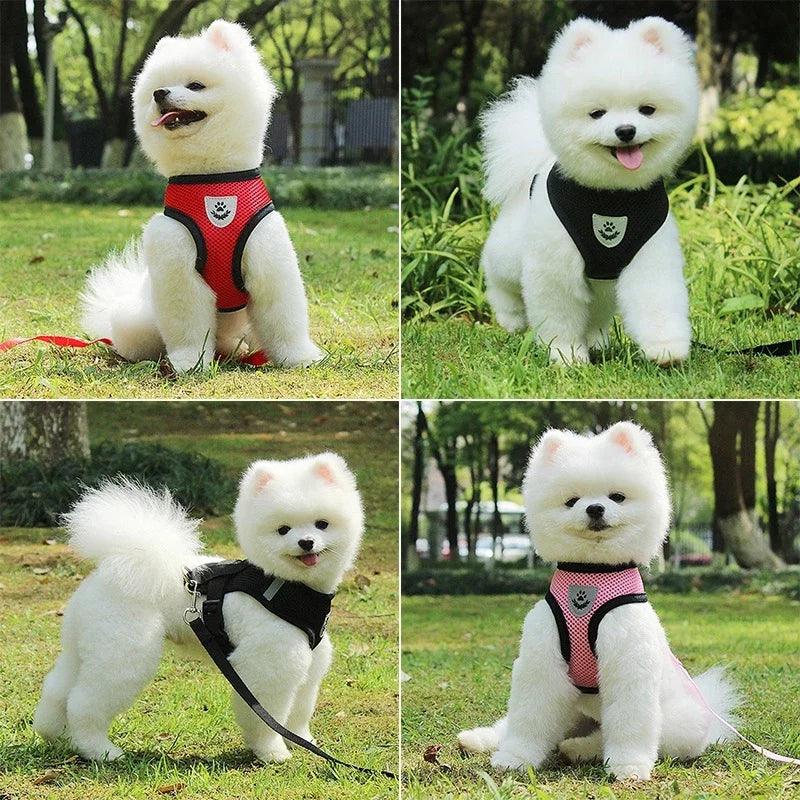 120 cm Traction Rope + Vest Type Leashes For Pet Small And Medium Tract Leashes Kit
