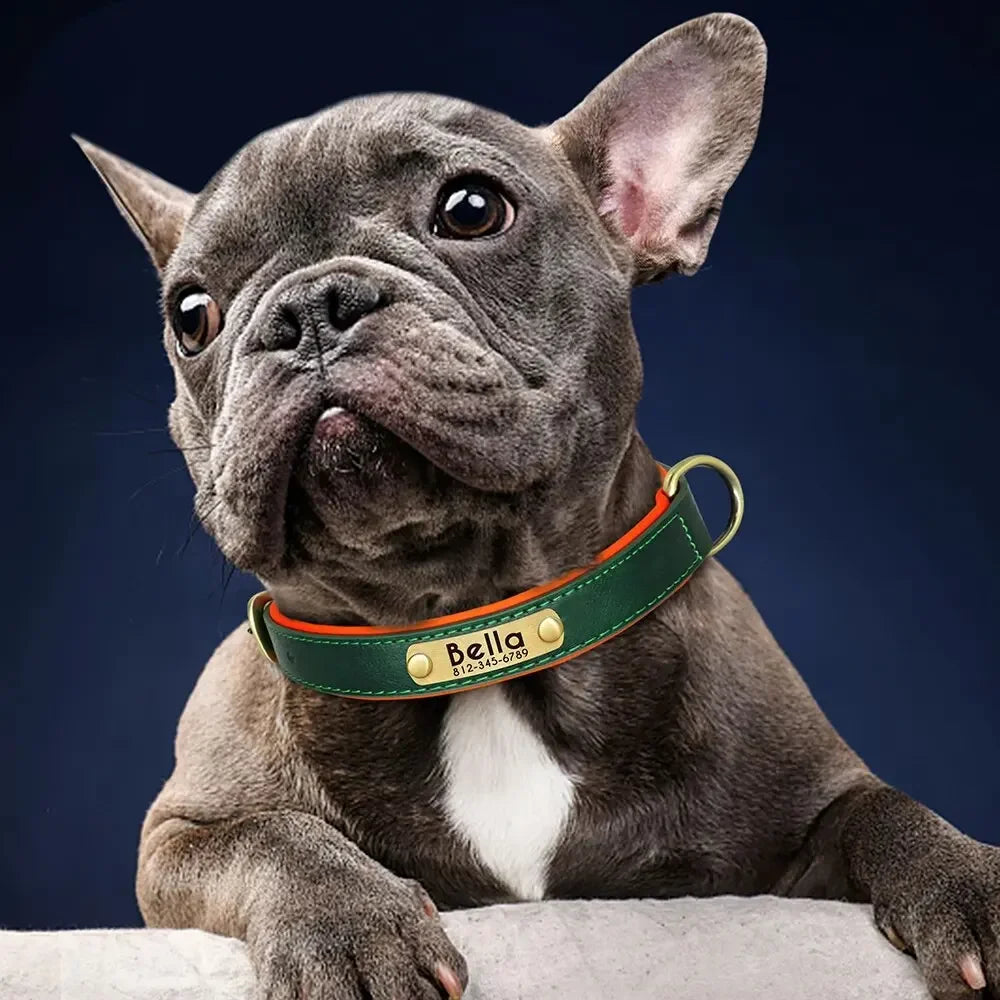 Coleira de Cão Personalizada em Couro com Placa de Identificação, Almofadada e Macia, Gravação Gratuita do Nome para Cães Pequenos, Médios e Grandes