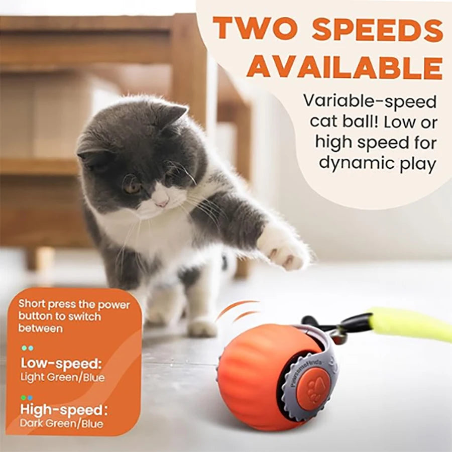 Bola interativa para gatos, brinquedo automático para animais de estimação, recarregável por USB, bola saltitante com cauda que balança, inteligente