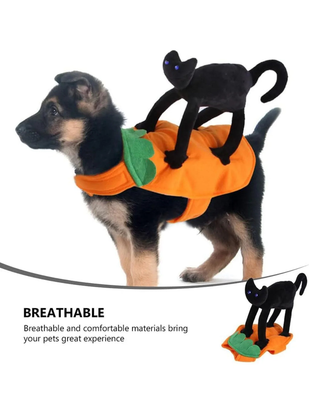 Halloween Pumpkin Pet Costume, Trajes de gato preto para cães, Cosplay para animais de pequeno a grande porte