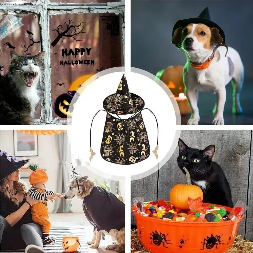 Engraçado abóbora animal de estimação trajes de halloween capa ajustável macio gatos cosplay roupas morcego preto halloween animal de estimação vestuário festa