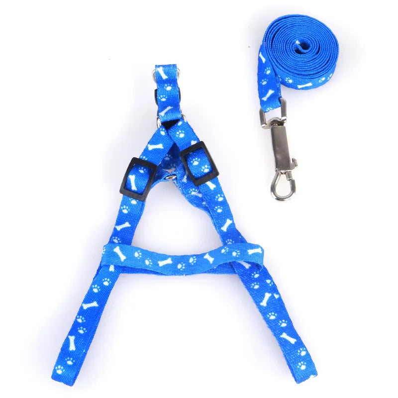Coleira para Cães Pequenos, Coleiras para Filhotes, Conjunto de Coleira e Peitoral para Teddy, Conjunto de Corda de Guia Fofa
