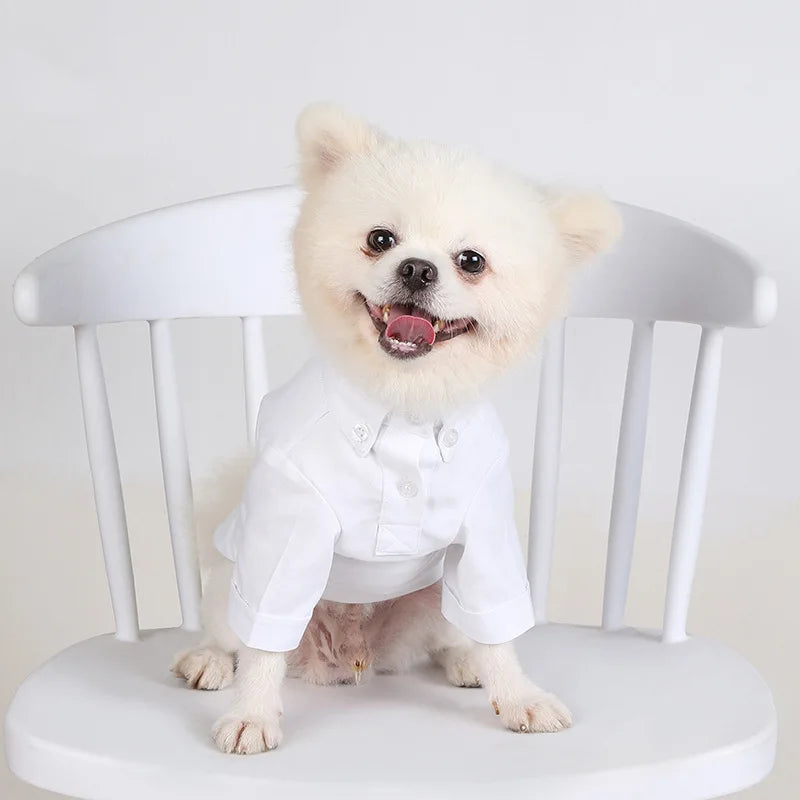 Primavera e outono camisas de fundo para animais de estimação versátil magro roupas para cães boutique roupas da moda para animais de estimação