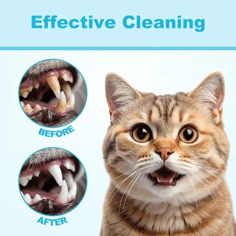 Spray Dental para Animais de Estimação, Não Necessita de Escovação, Limpa os Dentes, Refresca o Hálito, para Gatos e Cães de Todas as Raças, Fórmula Segura, Cuidado Dental Diário