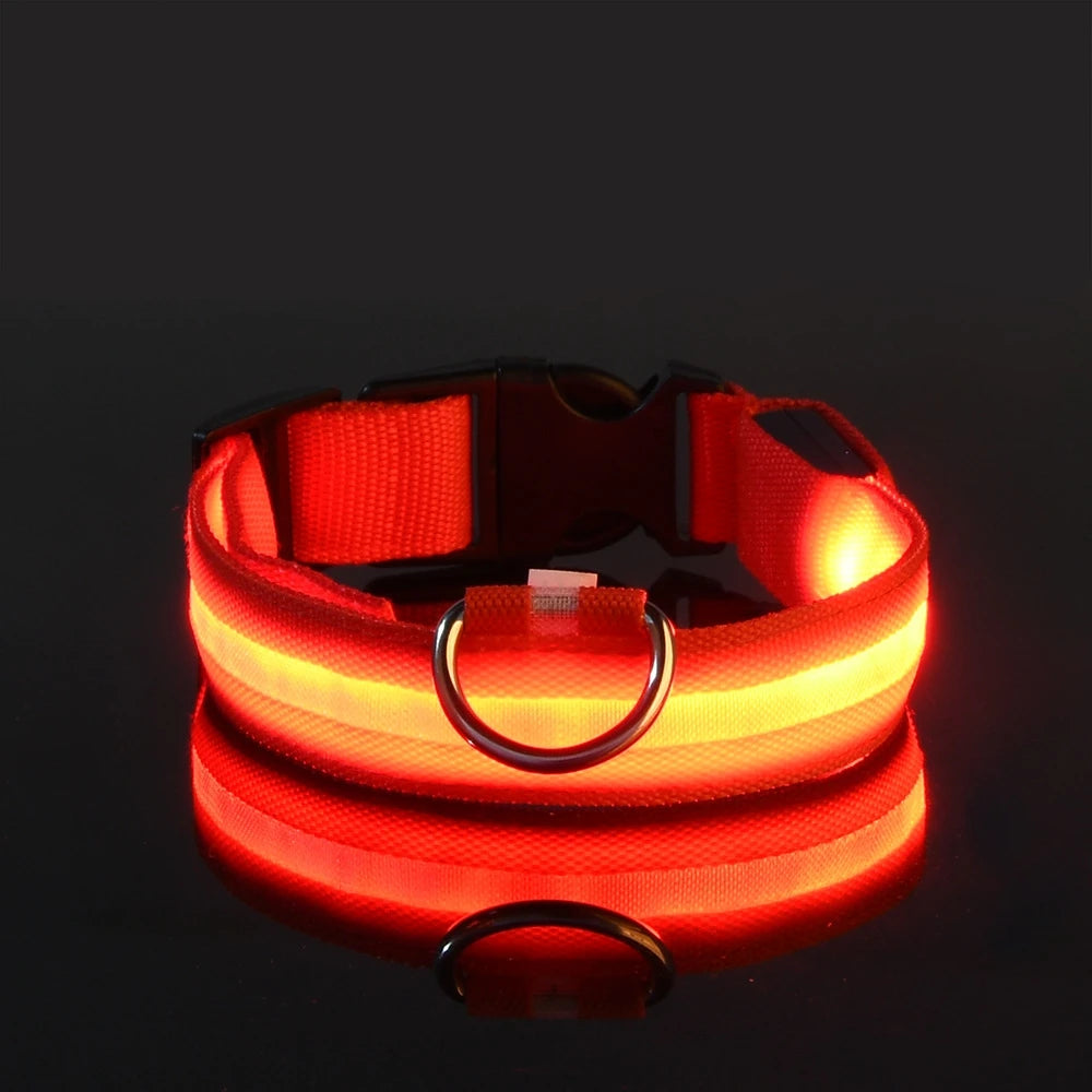 Nylon led noite segurança piscando brilho no escuro trela do cão cães luminoso fluorescente coleira do cão de estimação Kasa & Pet