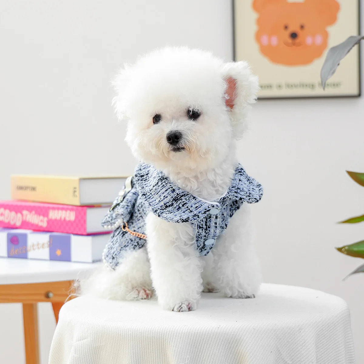 Fantasia de cachorrinho pérola para cães pequenos, chihuahua, yorkie, outono, inverno, roupa de princesa para animais de estimação, halloween, para gatos fêmeas