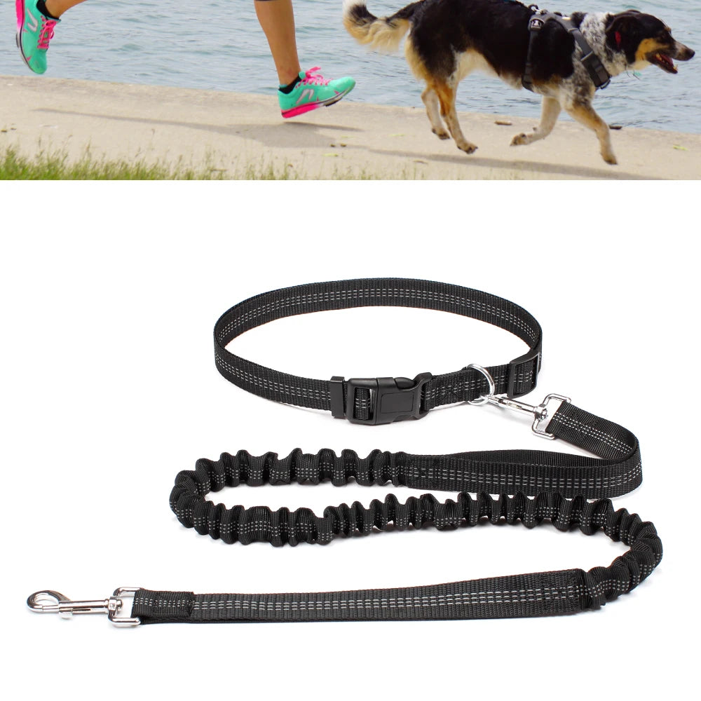 Coleira de Cachorro Mãos Livres para Passeio, Corrida e Caminhada, Coleira Ajustável com Cinto de Cintura e Alça Peitoral, Corda de Tração, Acessórios para Cães