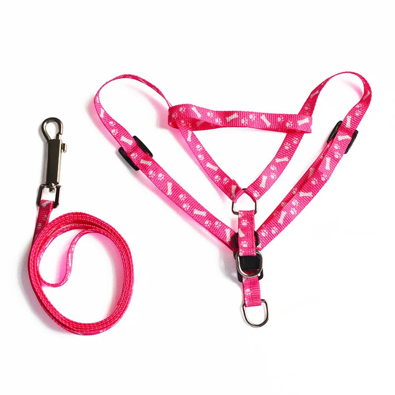 Coleira para Cães Pequenos, Coleiras para Filhotes, Conjunto de Coleira e Peitoral para Teddy, Conjunto de Corda de Guia Fofa