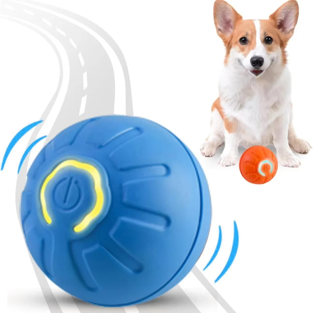 Brinquedos para animais de estimação: bola elétrica com mecanismo de gravidade, bola inteligente que salta, para cães e gatos.