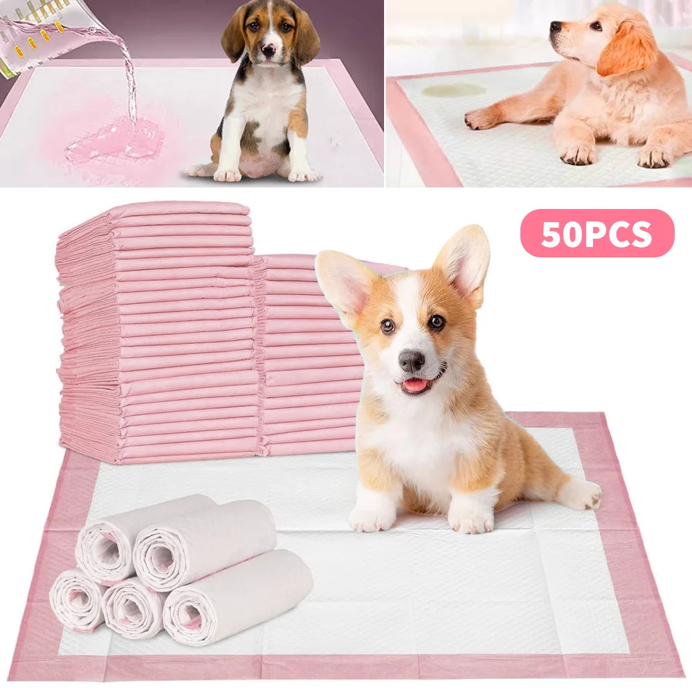 Fralda para animais de estimação, 50 peças, 60*90cm, 60*60cm, fraldas descartáveis para treinamento de cachorros, almofadas de xixi, superfície de secagem rápida, almofada limpa, fornecimento de cachorro