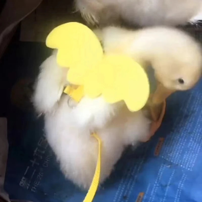 Coleira de pato com asa fofa, arnês de segurança para gato de estimação, filhote de cachorro, gatinho, corda de reboque ajustável, suprimentos para animais de estimação, animais pequenos