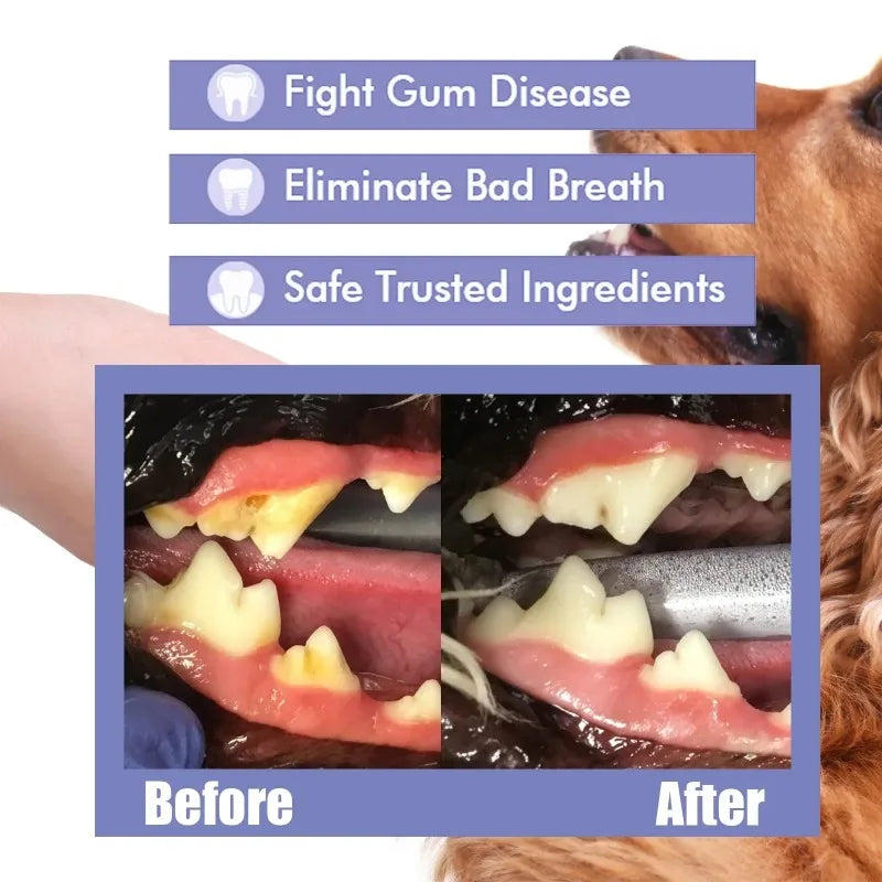 Spray de Cuidado Oral para Cães Limpeza de Dentes de Animais de Estimação Hálito Fresco Higiene Dental Diária Cuidado Suave para a Boca Fácil de Usar