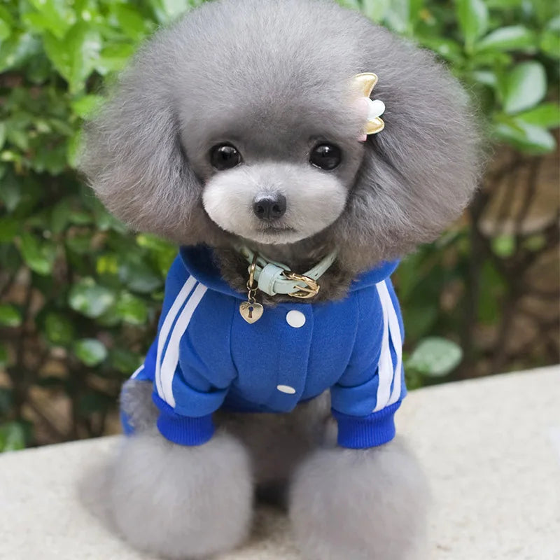 Primavera roupas para cães de estimação macacão para animais de estimação filhote de cachorro gato roupas para cão casaco grosso animais de estimação cães roupas chihuahua york