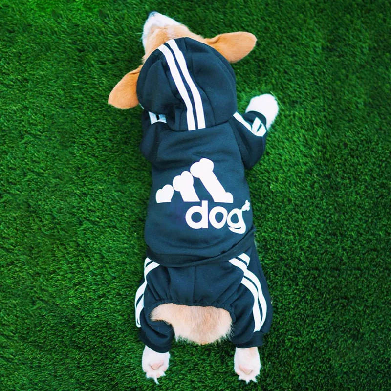 Roupa para animais de estimação roupas para cães pequenos cães médios roupa para cachorro com capuz moletom