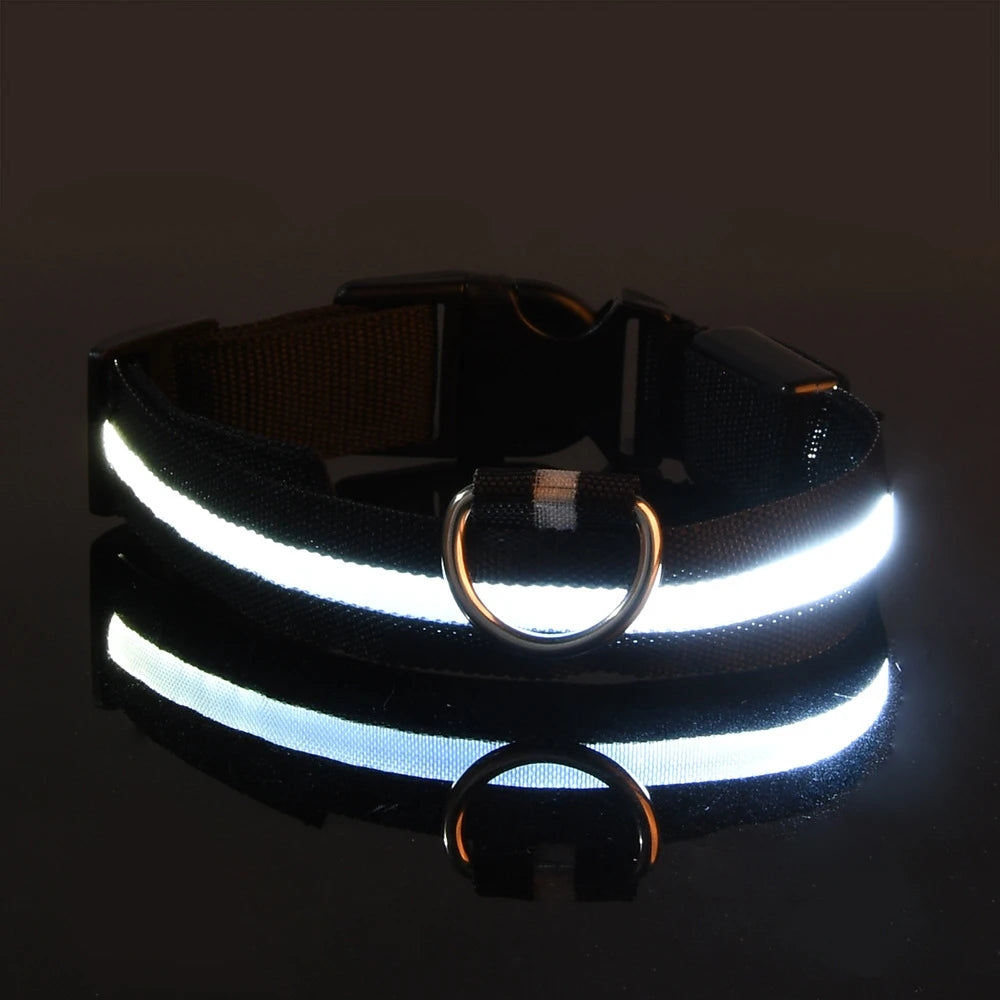 Nylon led noite segurança piscando brilho no escuro trela do cão cães luminoso fluorescente coleira do cão de estimação Kasa & Pet