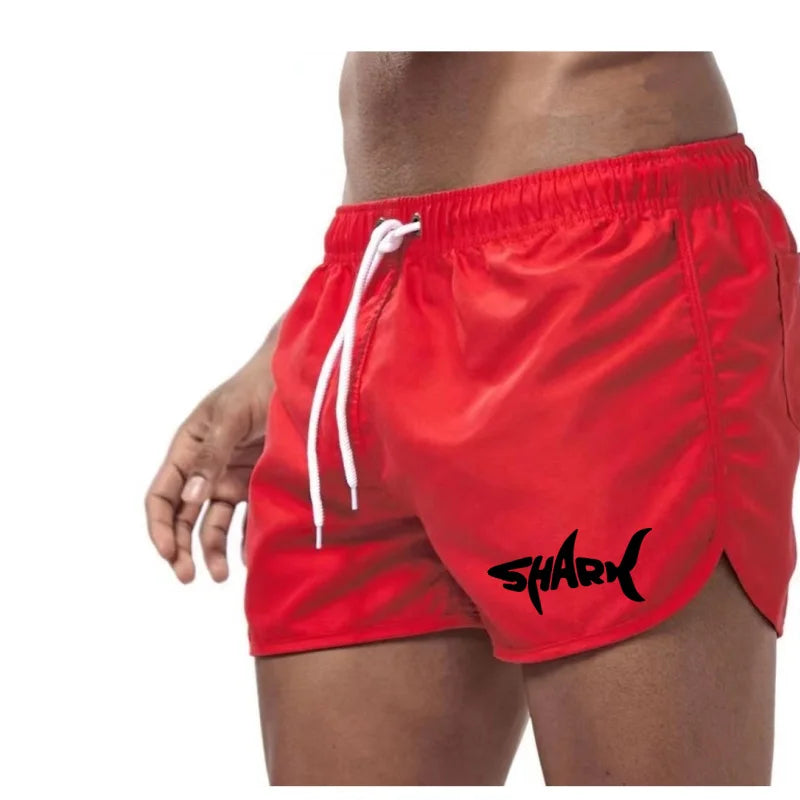 Men's Summer Mesh Quick-Drying Sports Shorts Casual Breathable Beach Pants for Outdoor Running Fitness