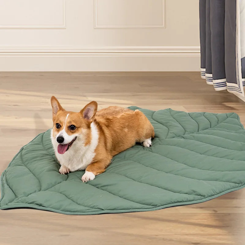 Tapete de dormir para animais de estimação, em forma de folha, outono e inverno, engrossado, gato e cachorro, ins, vento, rastejando, jogo, cama para perro