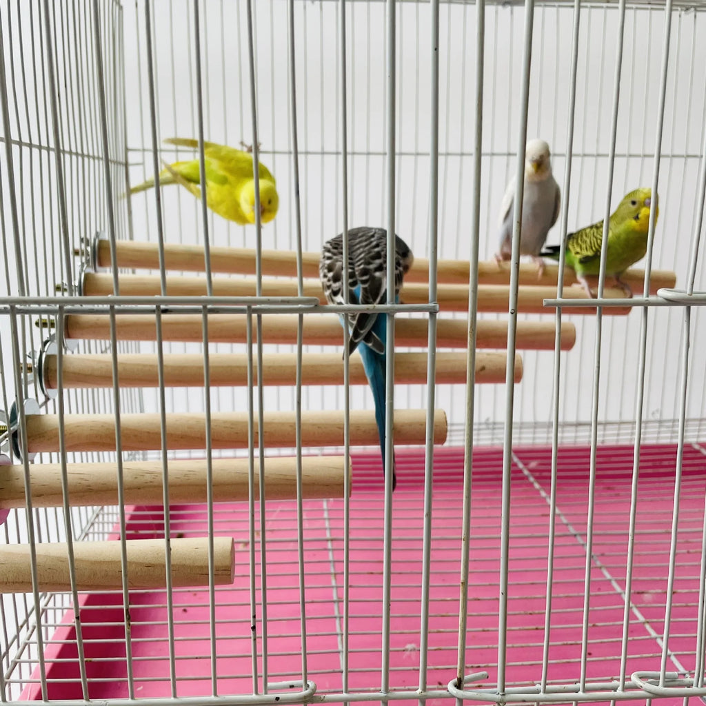 Papagaio animal de estimação cru pé vara de madeira pendurado suporte rack brinquedo sticksstand periquito ramo poleiros para gaiola de pássaros barra suprimentos para animais de estimação
