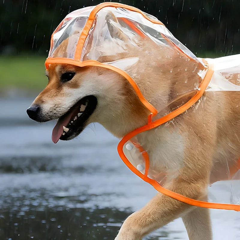 Capa de Chuva Transparente para Cães S/XL, Impermeável e à Prova de Vento, Roupa para Cães Grandes, Fantasia para Cães