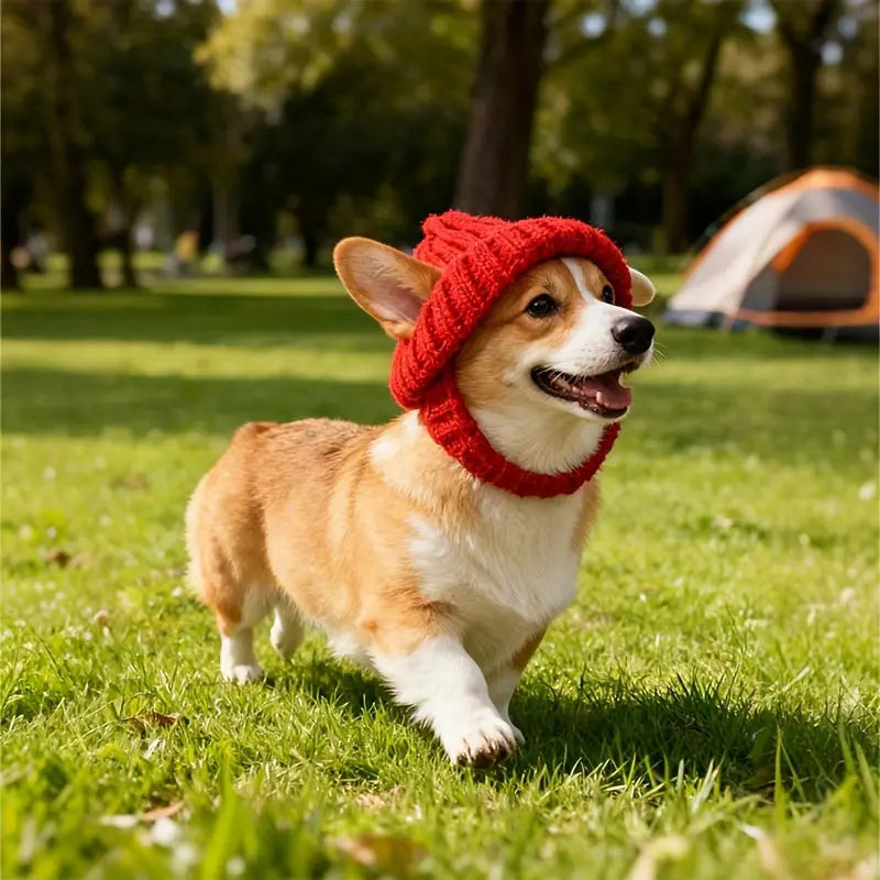 Chapéu de malha para animais de estimação, gorro vermelho quente para cachorro com buracos para orelha, chapéu festivo de inverno para animais de estimação, cães pequenos e médios, chapéu de ano novo, presente